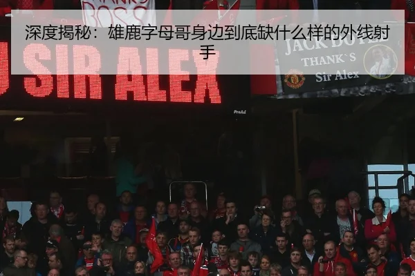 深度揭秘：雄鹿字母哥身边到底缺什么样的外线射手